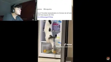 el xanxi prefiere a un travesti que a una mujerfea