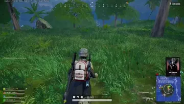 play de win ! chicken dinner