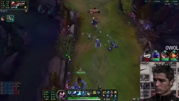 clean