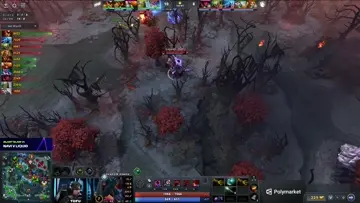 Team navi Vs Liquid Grand Final