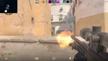 snipe