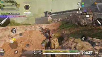 cod