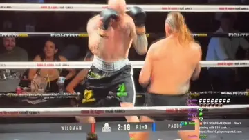 WELL DONE WILDMAN