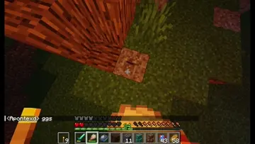 mew xd