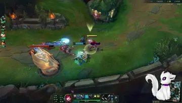 adc cuck