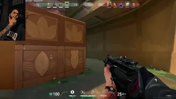 ACE