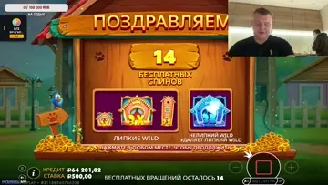 Собачий занос