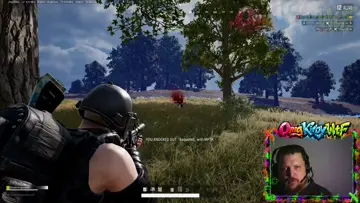 car vs gun