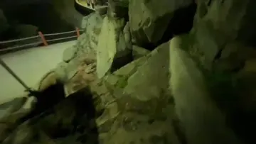 popodrilos