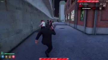 cat fight