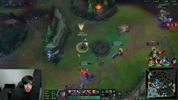 insec