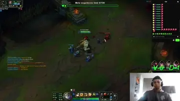 Galio jugadita. 