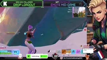 cat and mouse fight