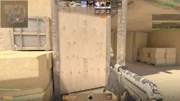 xd