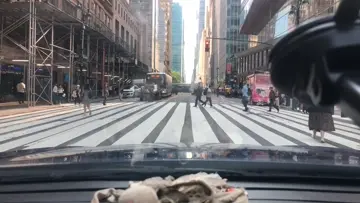 Eddie the Traffic Guard