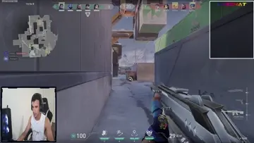 Bonito ACE