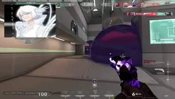 shad9wb