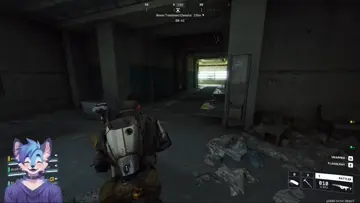 Doob's poor tit