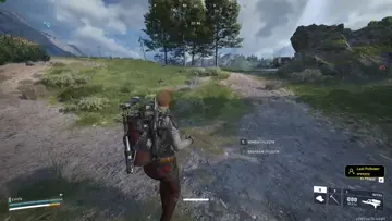 epic bobcat bulma anı asdjhaskşjdlgas