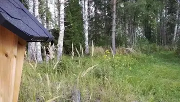 ammattilainen työssään