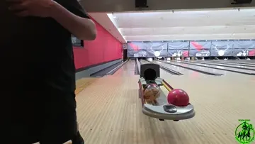 failed turkey