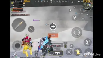 great fight