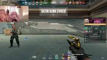 koltuk