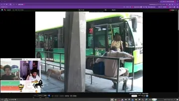 תופרים תיקים יותר מהר מחור במכנס