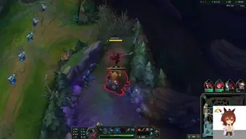 barındır