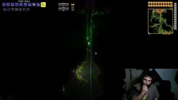 xd
