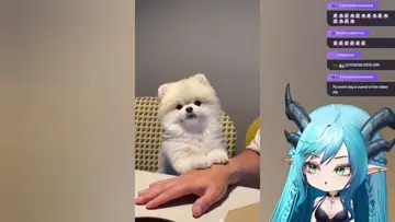 poms