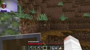 xd