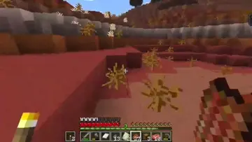 Rip XD
