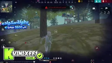 1 vs 4 dima clen