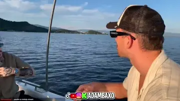 ziam