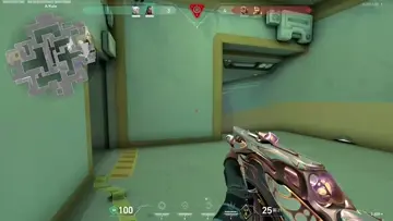 BOMBOT VS REYNA (BOMBOT WİN)