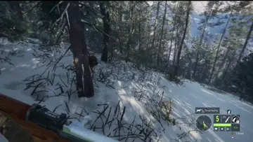 Flying Wolves