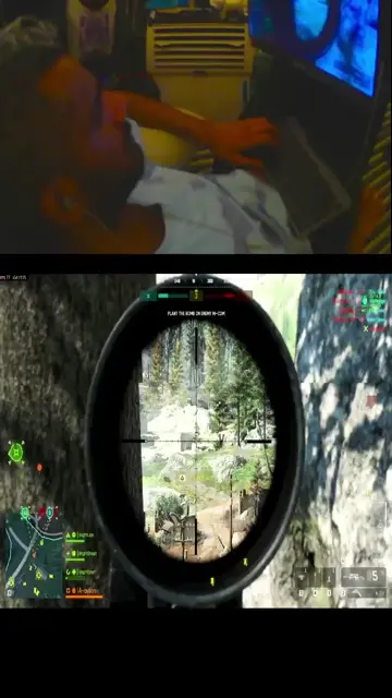 snipe