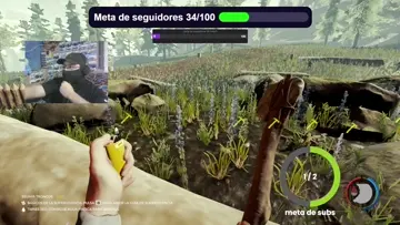 xd