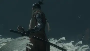 shinobi