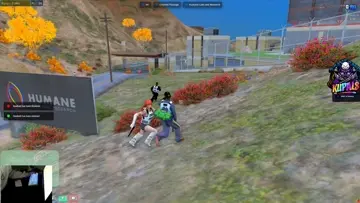 pov