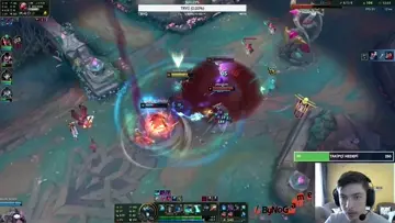 lsdfvcxvxc