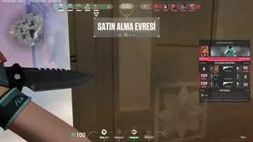 Valo