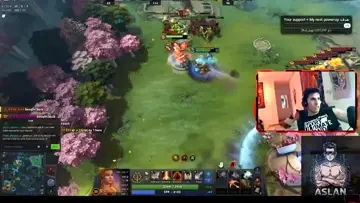 lina 31-8