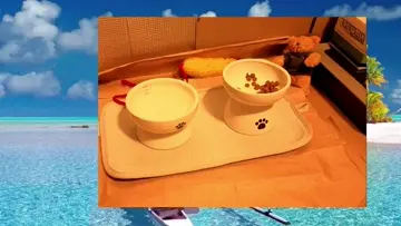 しぐねちゃー餡