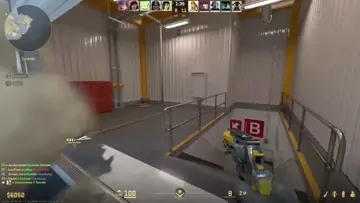 collat headshot