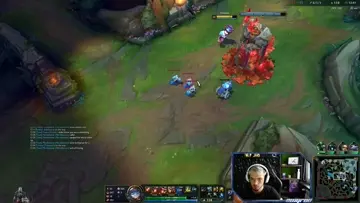 XD galio shaco