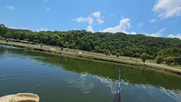 solid fish