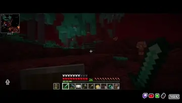 El Cerdo Part#2