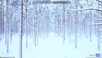 Csak a V